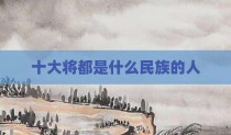 十大将都是什么民族的人