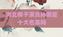 河北梆子演员孙娜是十大名票吗