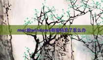mac的windows有密码忘了怎么办