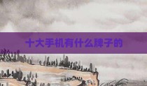 十大手机有什么牌子的