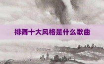 排舞十大风格是什么歌曲