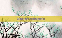 五条红线十大禁令是什么