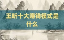 王昕十大赚钱模式是什么