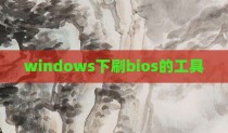 windows下刷bios的工具