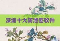 深圳十大防泄密软件