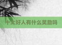 十大好人有什么奖励吗