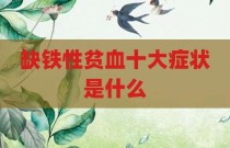 缺铁性贫血十大症状是什么