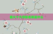 最火十大项目名称是什么