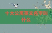十大公寓英文名字叫什么