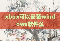 xbox可以安装windows软件么