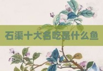 石渠十大名吃是什么鱼