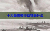 十大最美夜行动物是什么