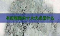 本田雅阁的十大优点是什么