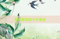 薪水最高的十大专业