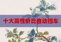 十大高性价比自动挡车