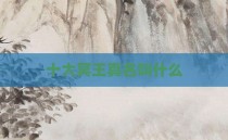 十大冥王真名叫什么