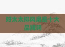 好太太排风扇是十大品牌吗