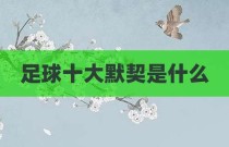 足球十大默契是什么
