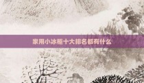 家用小冰柜十大排名都有什么