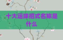十大运球招式名称是什么
