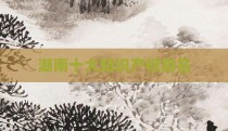 湖南十大知识产权排名