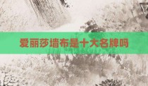 爱丽莎墙布是十大名牌吗