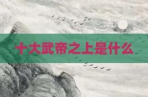 十大武帝之上是什么