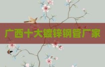 广西十大镀锌钢管厂家