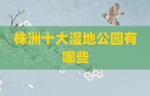株洲十大湿地公园有哪些