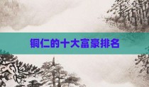 铜仁的十大富豪排名