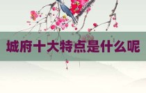城府十大特点是什么呢