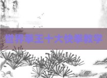 世界拳王十大快拳教学