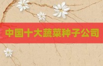 中国十大蔬菜种子公司