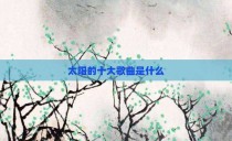 太阳的十大歌曲是什么