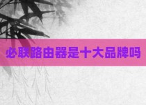 必联路由器是十大品牌吗