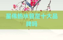 星伟热水管是十大品牌吗