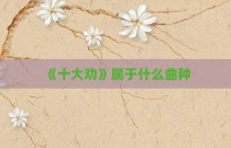 《十大劝》属于什么曲种