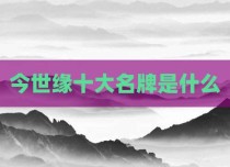 今世缘十大名牌是什么