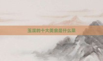 玉溪的十大美食是什么菜