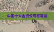 中国十大合资公司有哪些