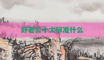 好老公十大标准什么