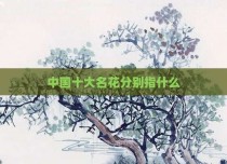 中国十大名花分别指什么