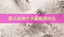野人伙伴十大骗局是什么