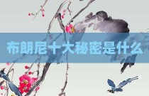 布朗尼十大秘密是什么