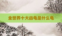 全世界十大凶龟是什么龟