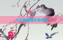 十大恶佛名号是什么