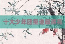 十大少年团里谁最漂亮