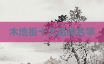 木地板十大品牌名字