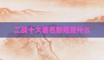 二战十大著名野炮是什么