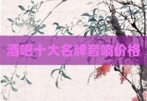 酒吧十大名牌音响价格